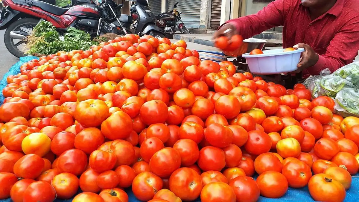 Tomato Price Rise