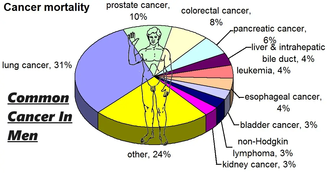 Common Cancer: पुरुषों में प्रमुख कैंसर प्रकार और जीवनशैली से बचाव के उपाय