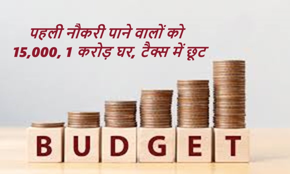 National Budget : पहली नौकरी पाने वालों को 15,000, 1 करोड़ घर, टैक्स में छूट