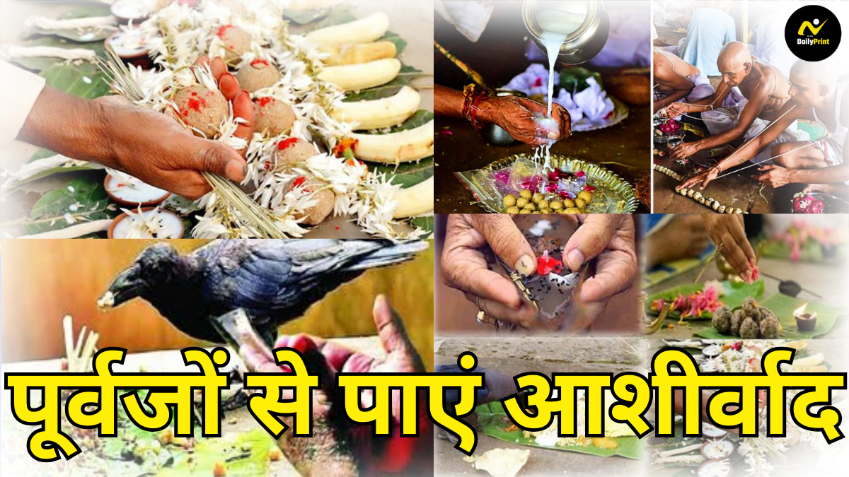 Pitru Paksha Shraddha: श्राद्ध में पितरों के लिए करें ये पुण्य कार्य, पूर्वजों से पाएं आशीर्वाद |