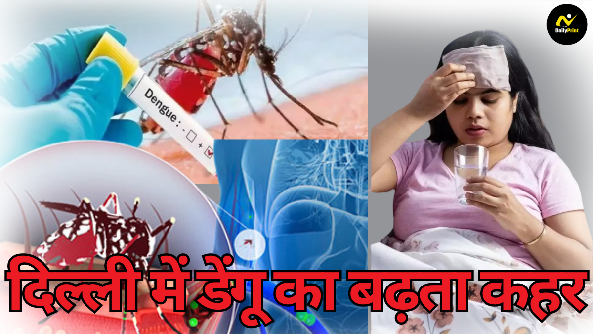 Dengue Mosquito: दिल्ली में डेंगू का बढ़ता कहर: जानें कैसे करें अपने घर को सुरक्षित |